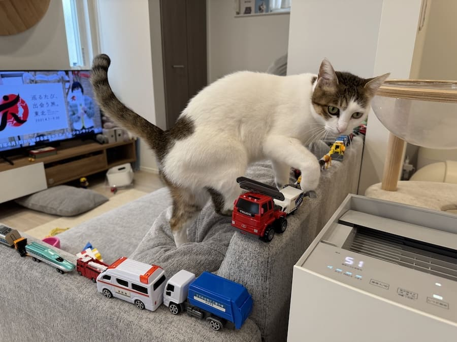 おたくま経済新聞📰 tweet media