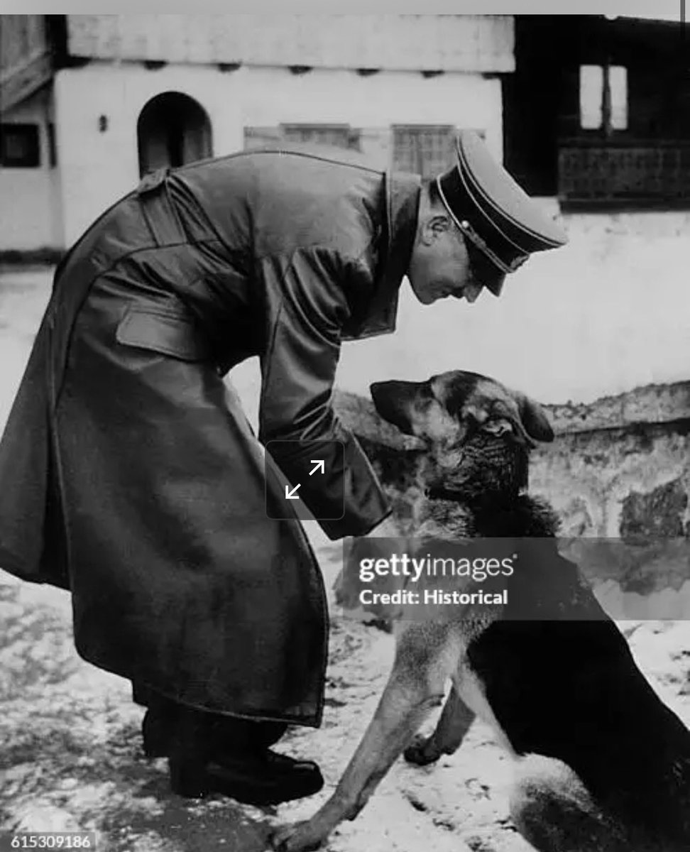 Mudinho Talarico X9 💉🌈🔮🔞🏳️‍🌈🏳️‍⚧️ tweet media