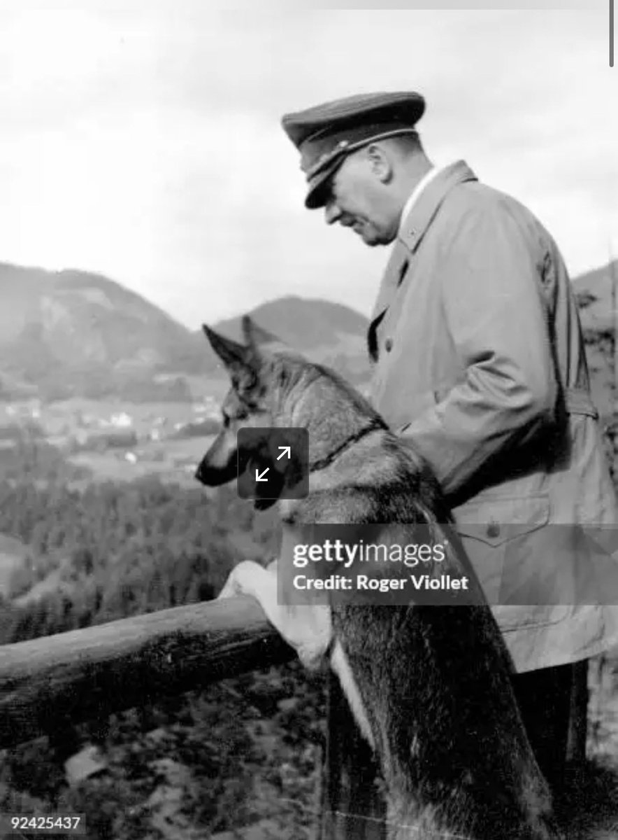 Mudinho Talarico X9 💉🌈🔮🔞🏳️‍🌈🏳️‍⚧️ tweet media