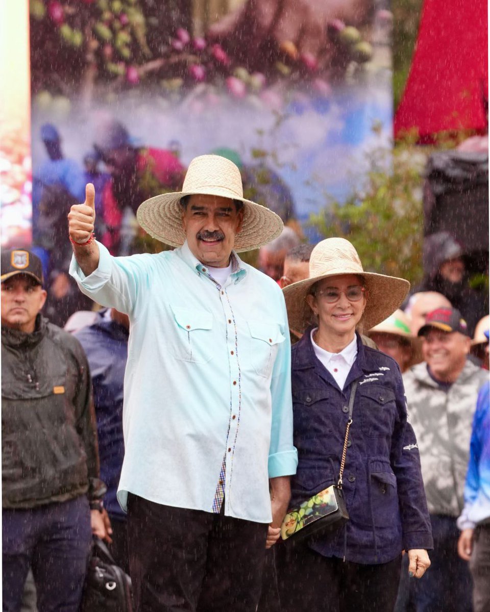 Alejandra Castillo 🇻🇪 tweet media