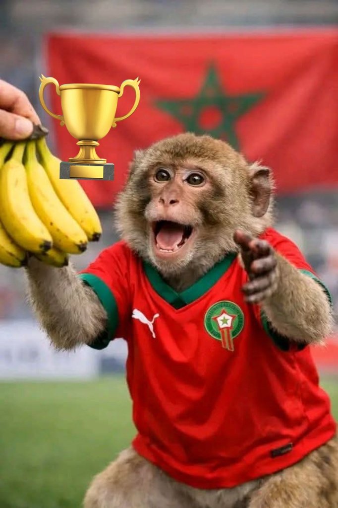 Mali Lumumba tweet media