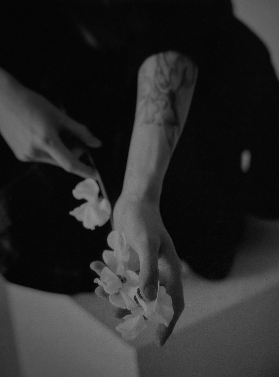 ͏ ͏ ͏ ͏ ͏ ͏ ͏ ͏͏ ͏ ͏(𝐕).𝗮𝗌𝗌i̲𝗅𝗂𝖾𝗏, 𝐕. tweet media