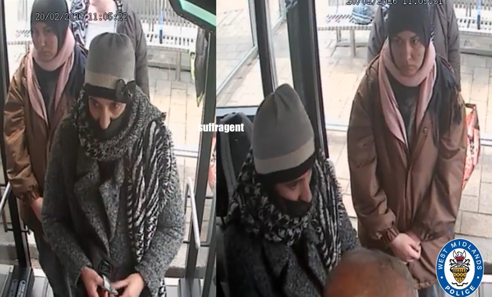 Peter Lloyd tweet media