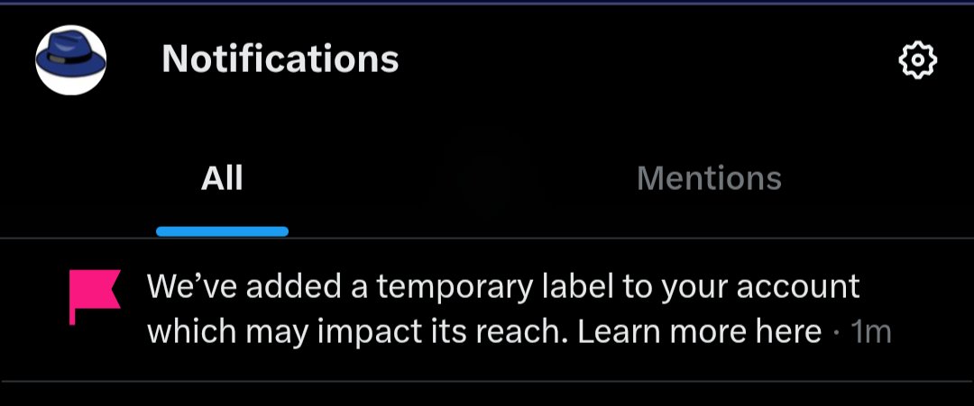 J. C. Salomon 📟 tweet media