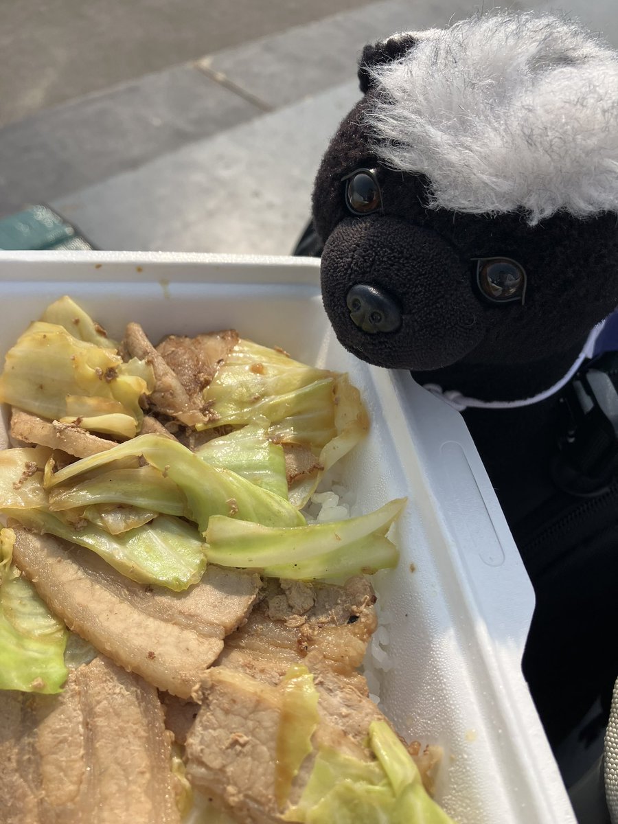 SAYA/lucy tweet media