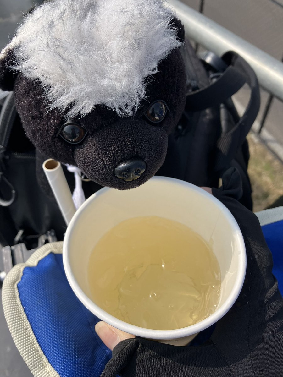 SAYA/lucy tweet media