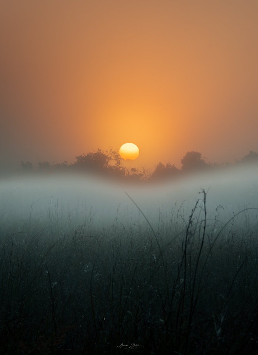 XANDER GEOGRAPHIC 🏕️ tweet media