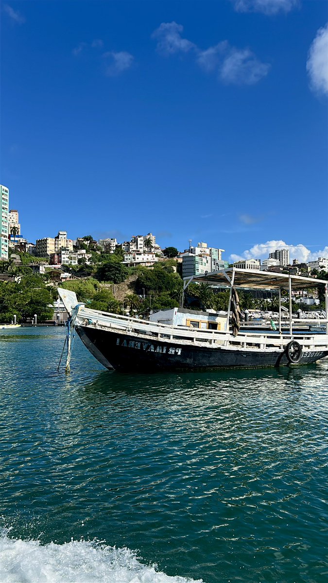 Dua ⚭ 🐄 tweet media