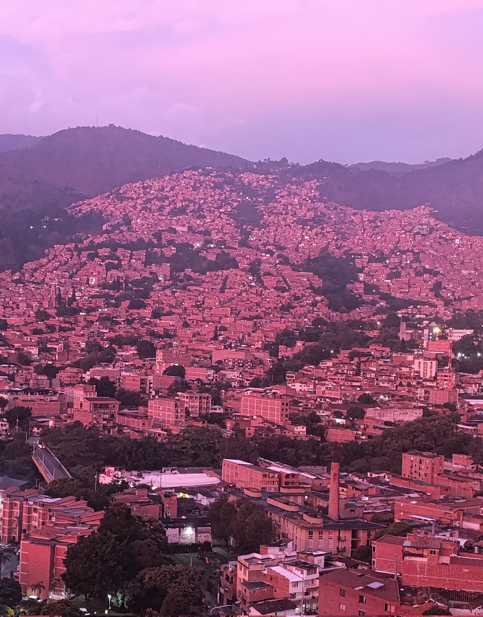 El Yerar tweet media