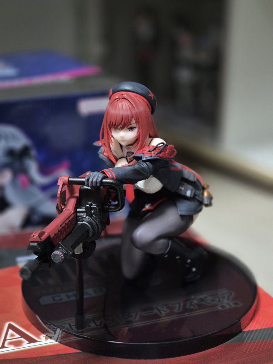 사진사 기로엘 tweet media