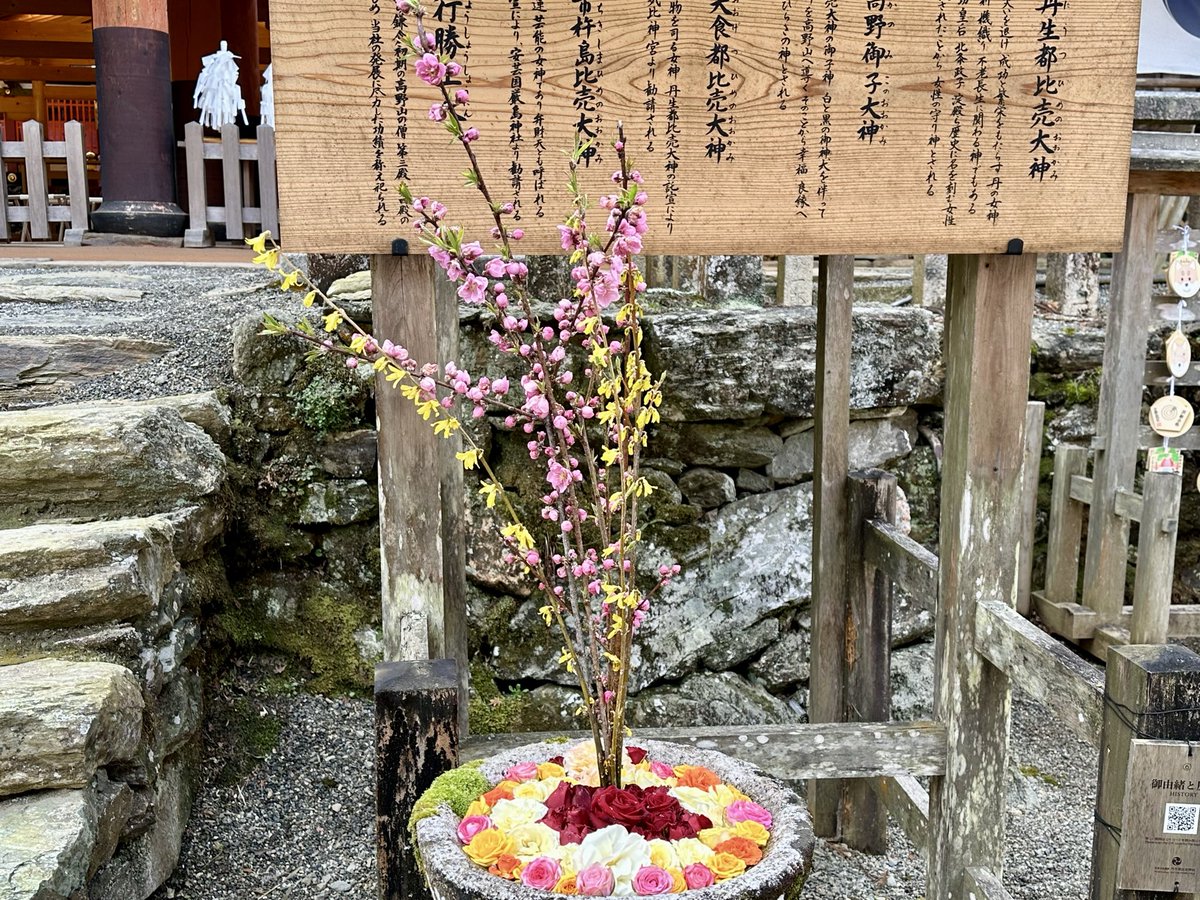 【世界遺産】丹生都比売神社 tweet media