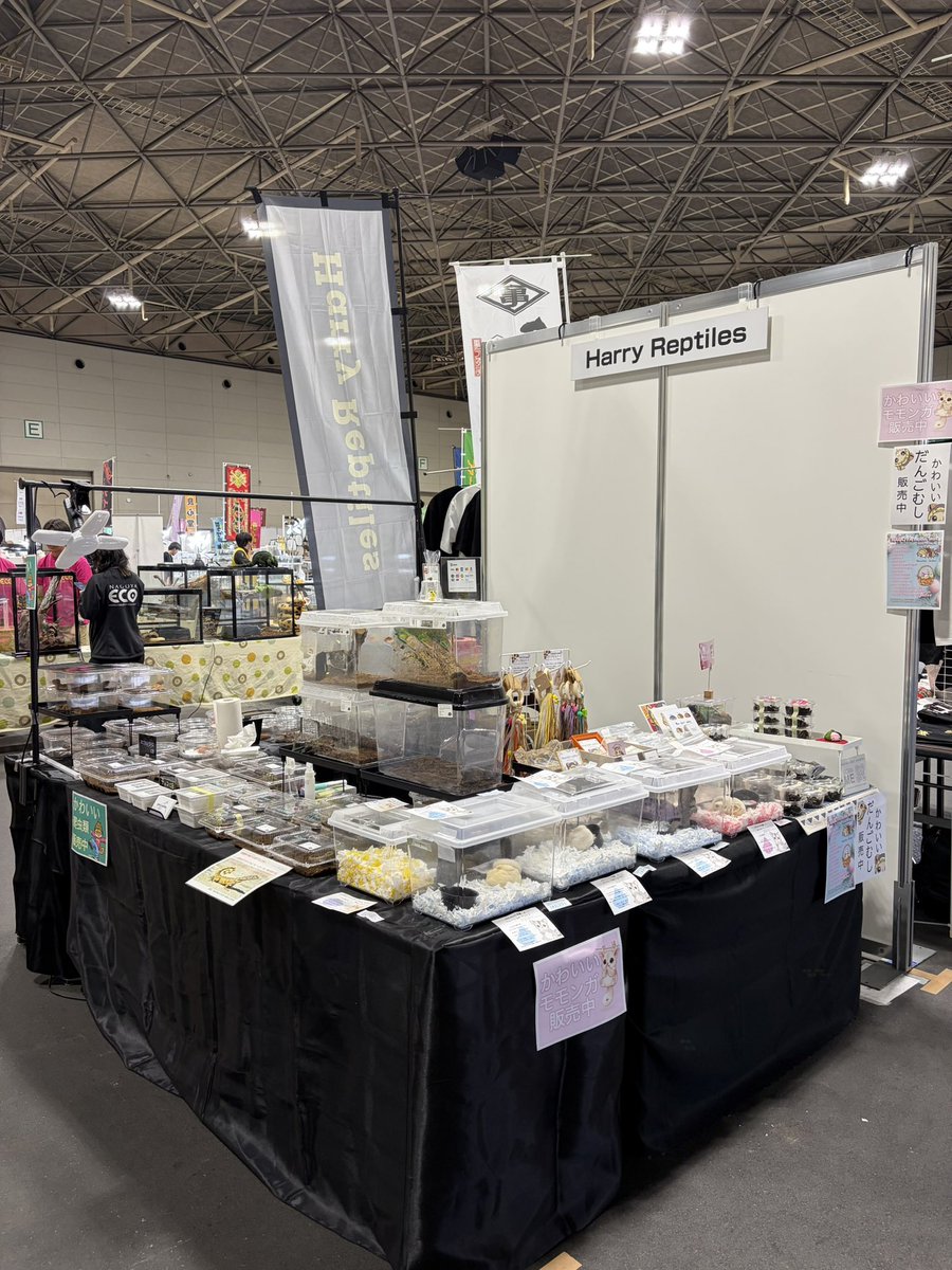 Harry Reptiles☺︎4月11日SB☺︎ tweet media