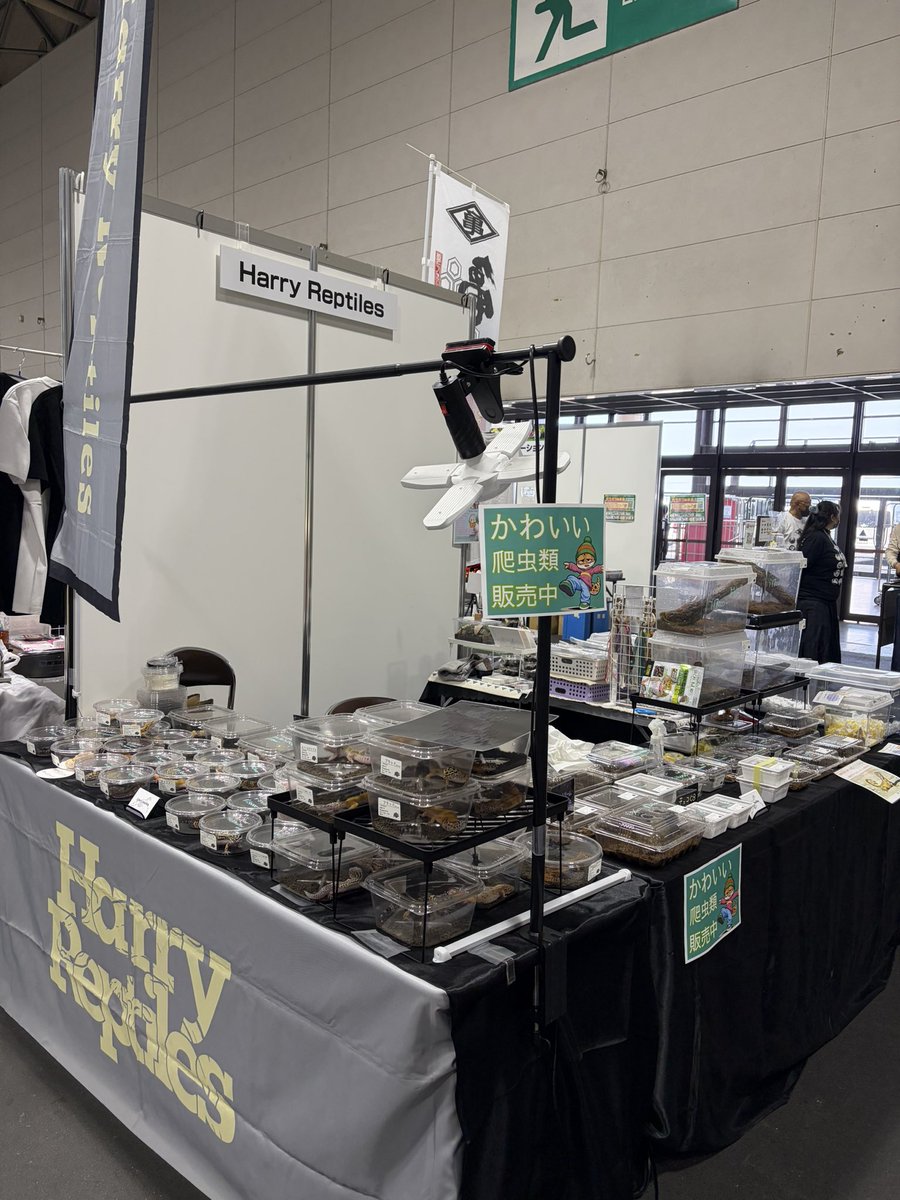 Harry Reptiles☺︎4月11日SB☺︎ tweet media
