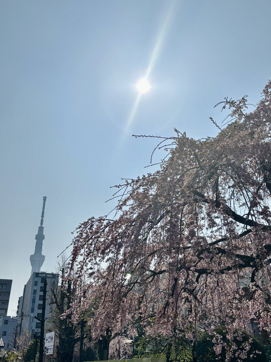 よしーだ tweet media