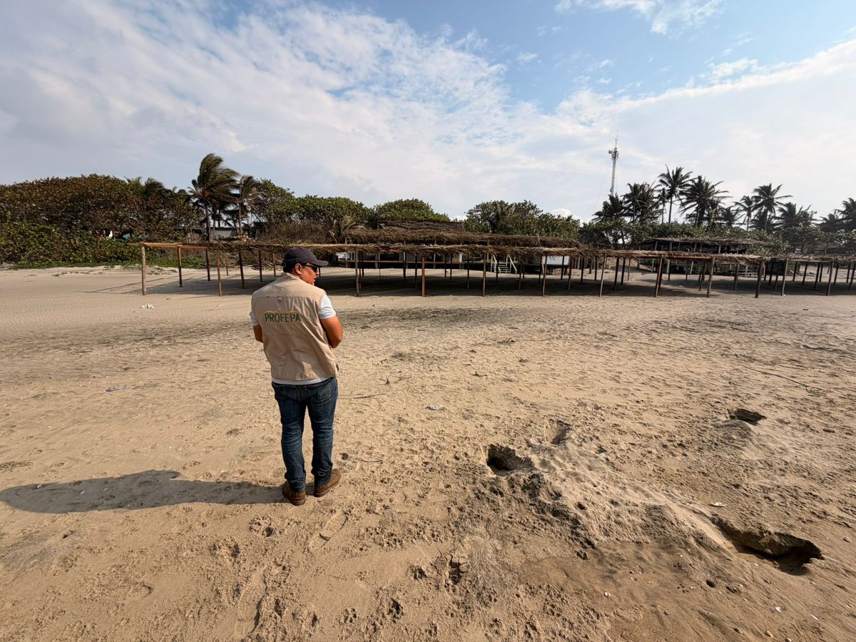 SEMARNAT México tweet media