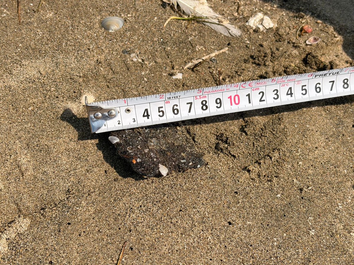 SEMARNAT México tweet media