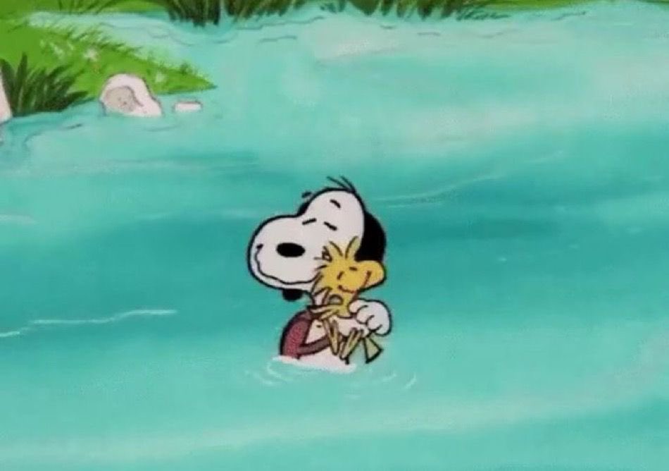 Daily Snoopy tweet media