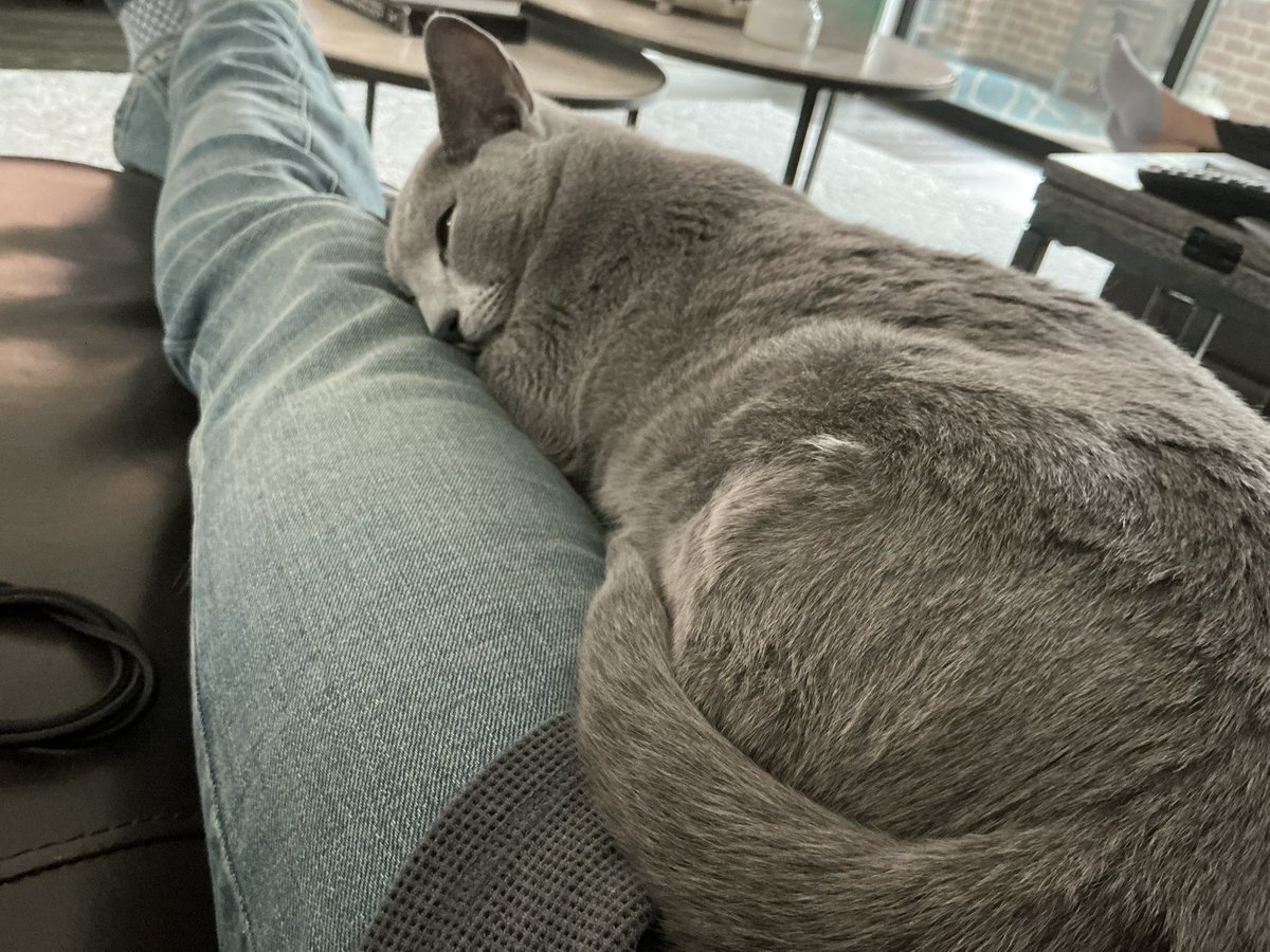 Jay Lehman ☘️ tweet media