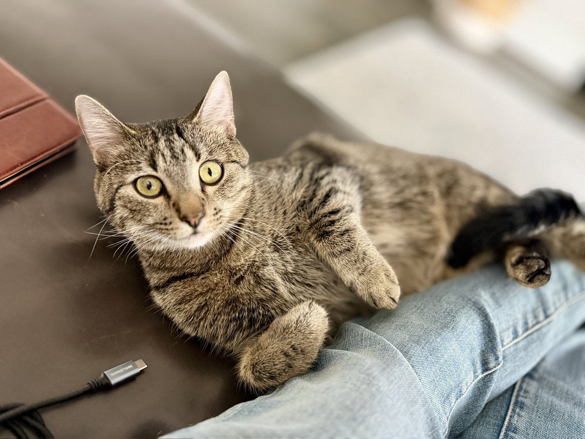 Jay Lehman ☘️ tweet media