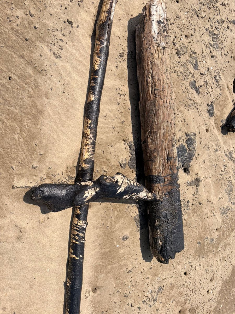 SEMARNAT México tweet media