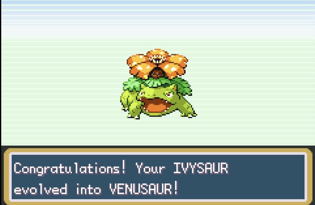 waddy✨ tweet media