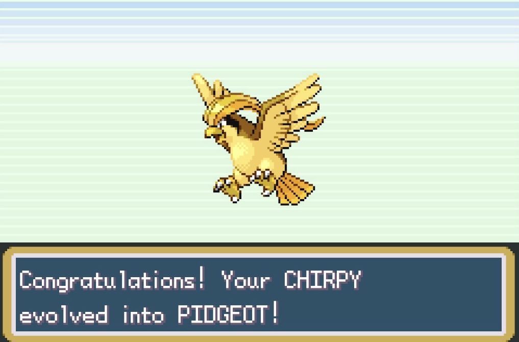 waddy✨ tweet media