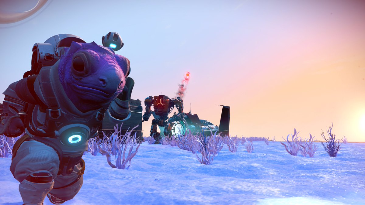 Mike 🌴🌊 tweet media