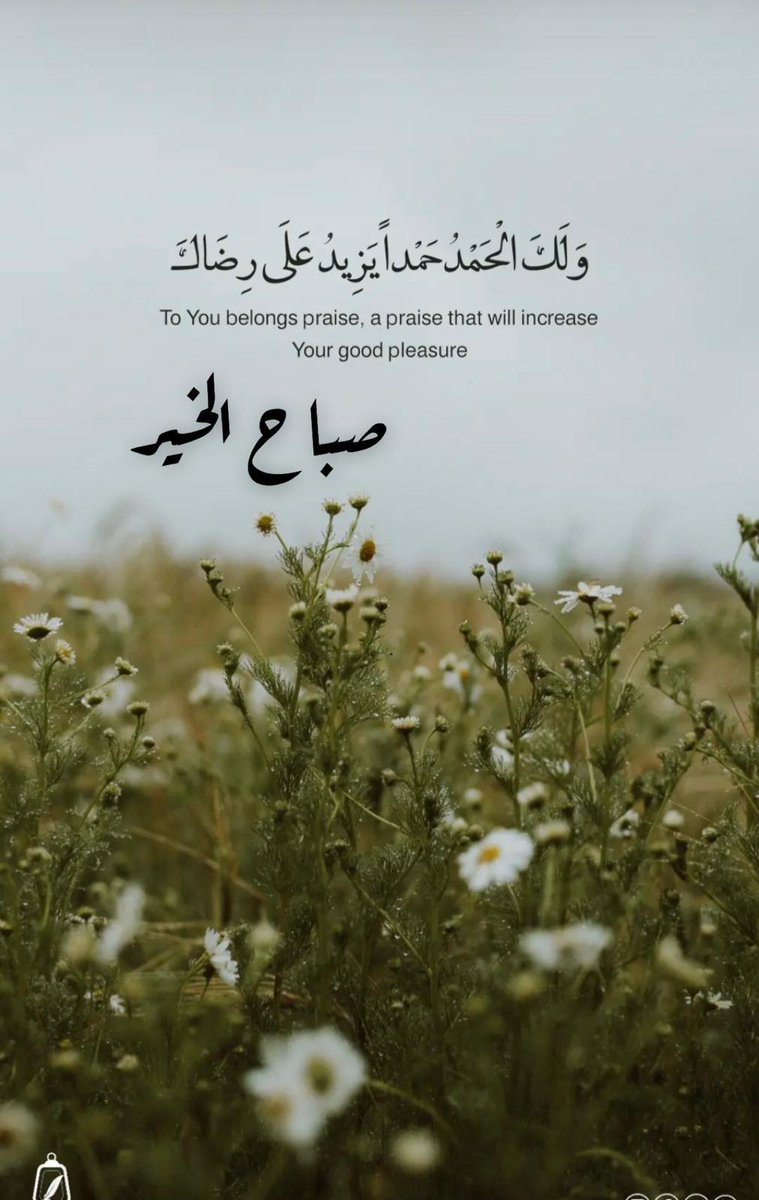 ⚘✿ زهرة التوليب ✿⚘ tweet media