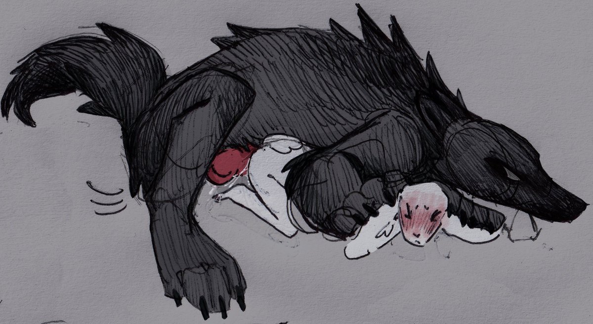 kit ⋆ ⋆ ⋆ comms open tweet media