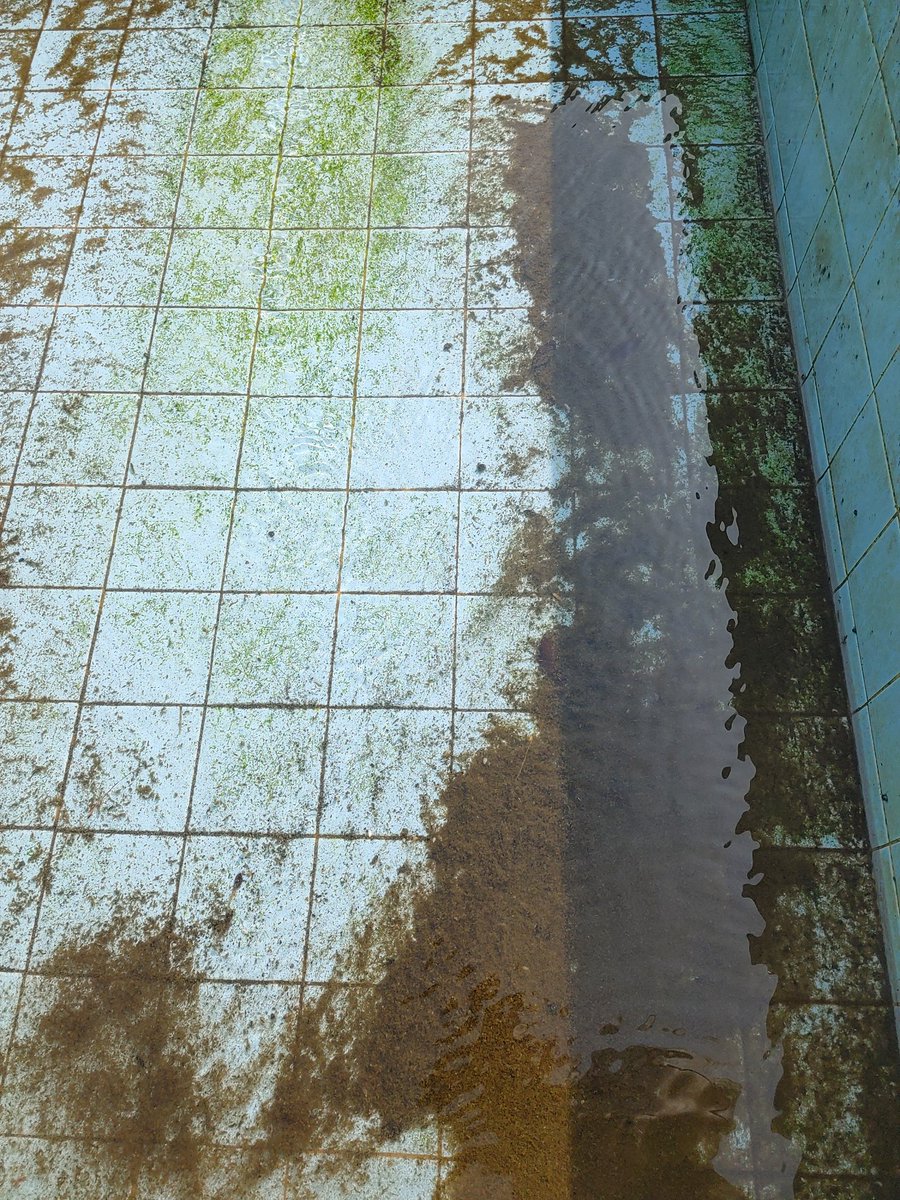 ロフグレン_dol tweet media