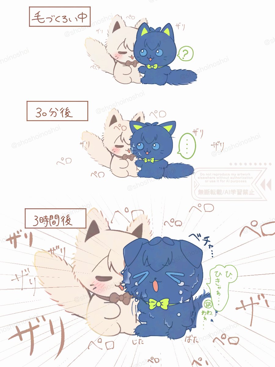 しょい tweet media