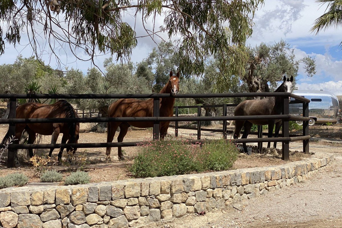 Justin 🏴 tweet media