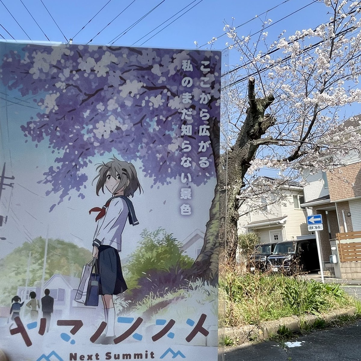 Stage Champ.@飯能 tweet media