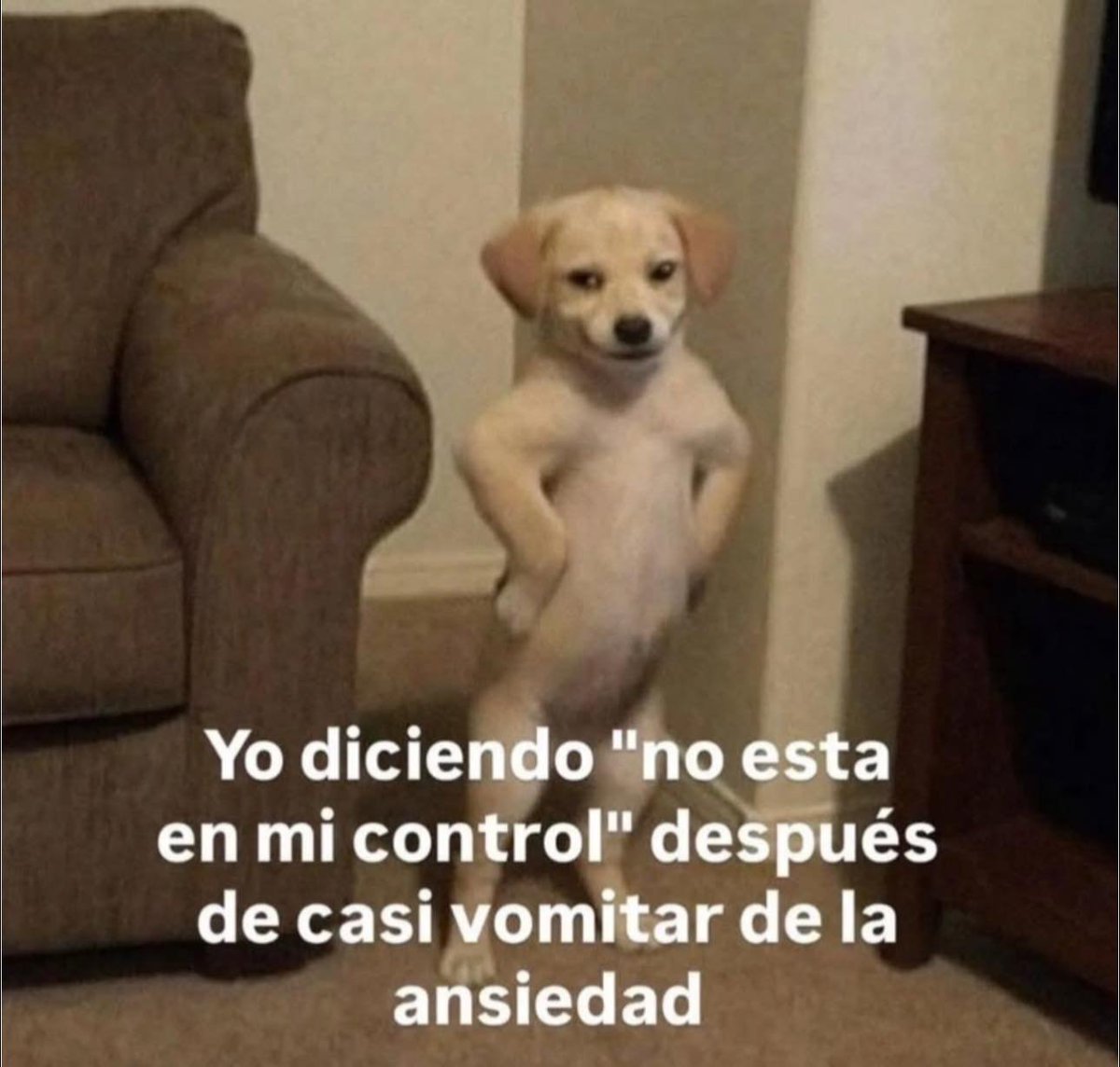 𝐂𝐡𝐨𝐜𝐨𝐥𝐚𝐭𝐨 COMIS ABIERTAS (3/10) tweet media