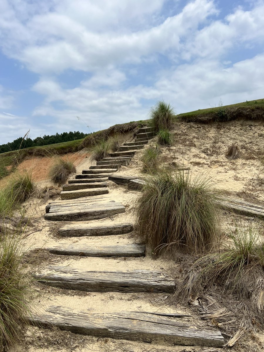 Putter Boy tweet media