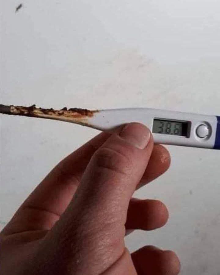 ilevenKev 🔥 tweet media