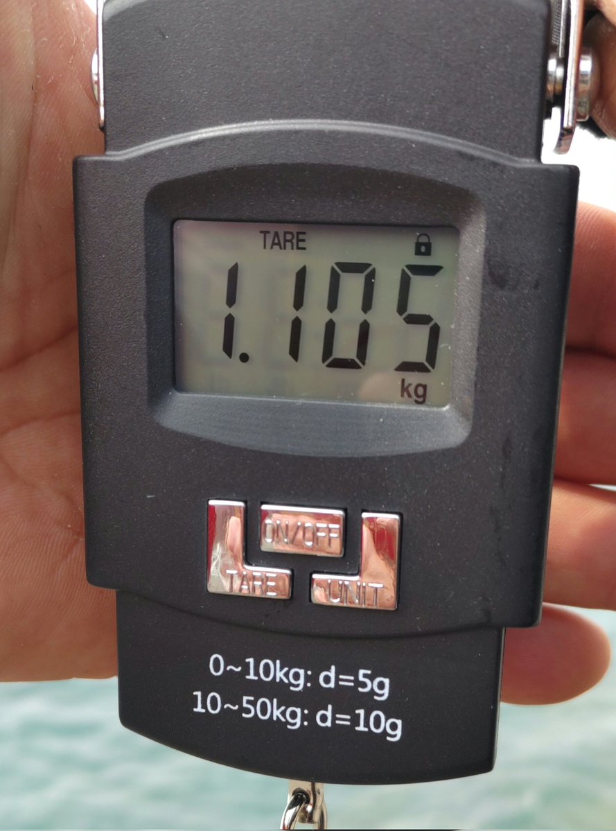 かわさん🌾 tweet media