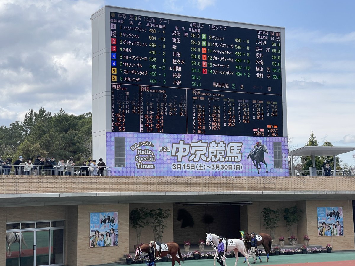 𝕥𝕠𝕞𝕠𝕣𝕪𝕠𝕤𝕙𝕜𝕒 🐏🦙🪆まやมายา tweet media