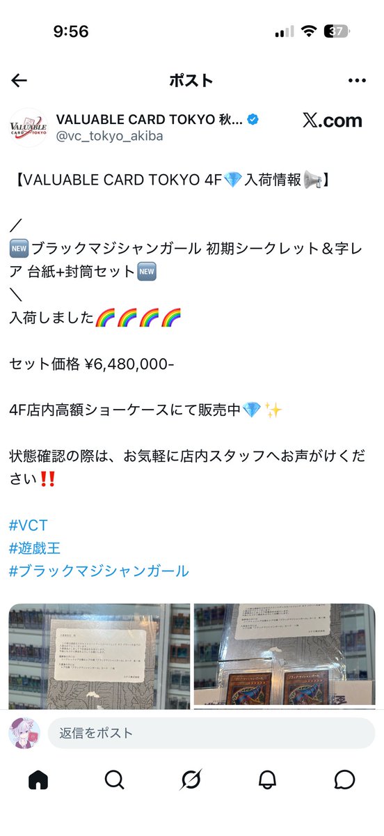 ラッコ先生 tweet media
