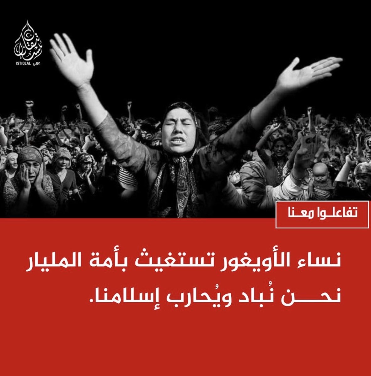  دبلوماسي قطري قديم tweet media