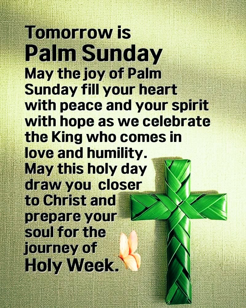 @Lindangle74🍃🕊️🇺🇸 tweet media