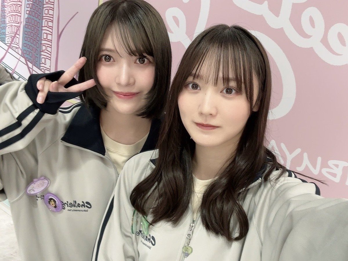 🐱直樹🎯 tweet media