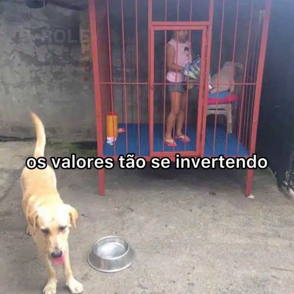 café decolonial ainda que sulista tweet media