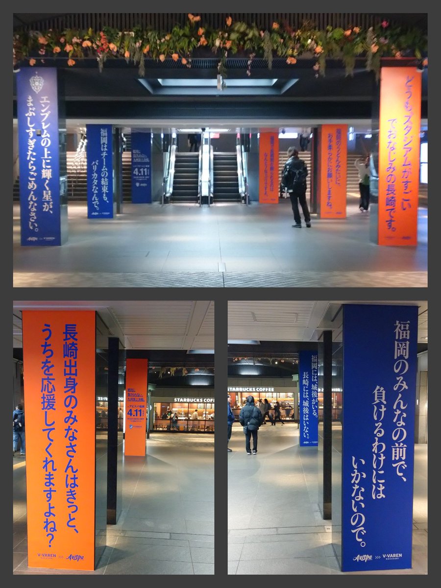 たまちゃん tweet media