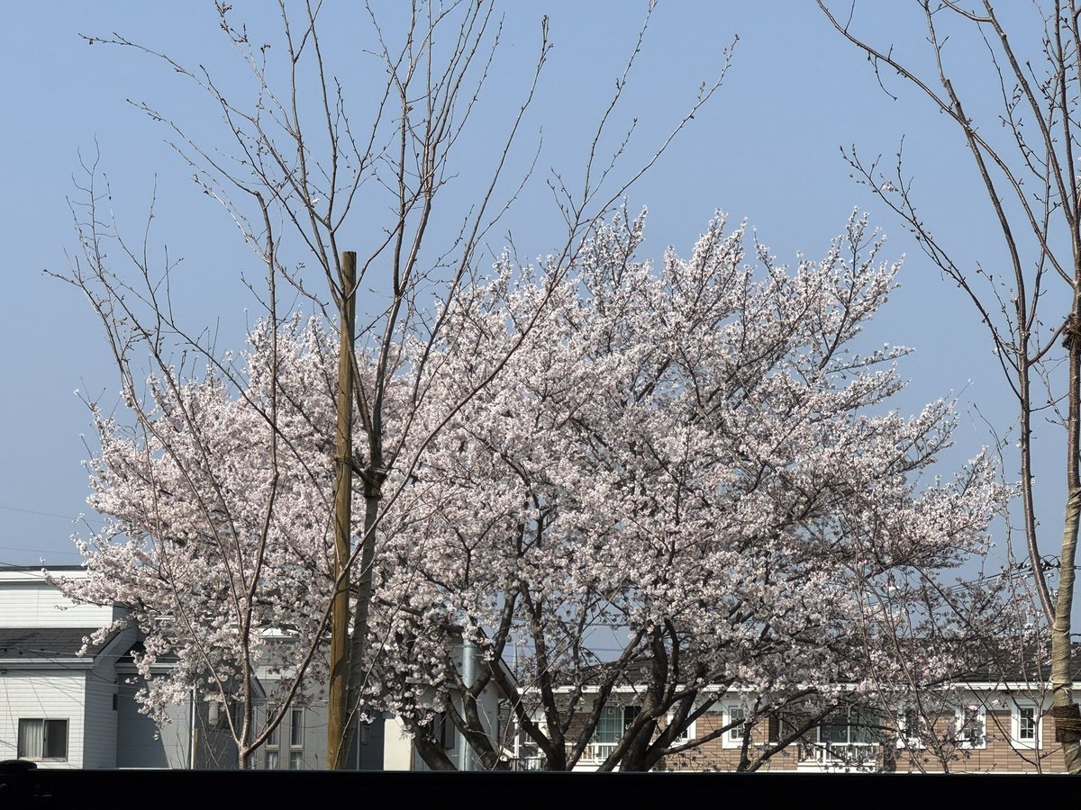 へいへい holoEXPO day1 FES stage1/3参加！！ tweet media