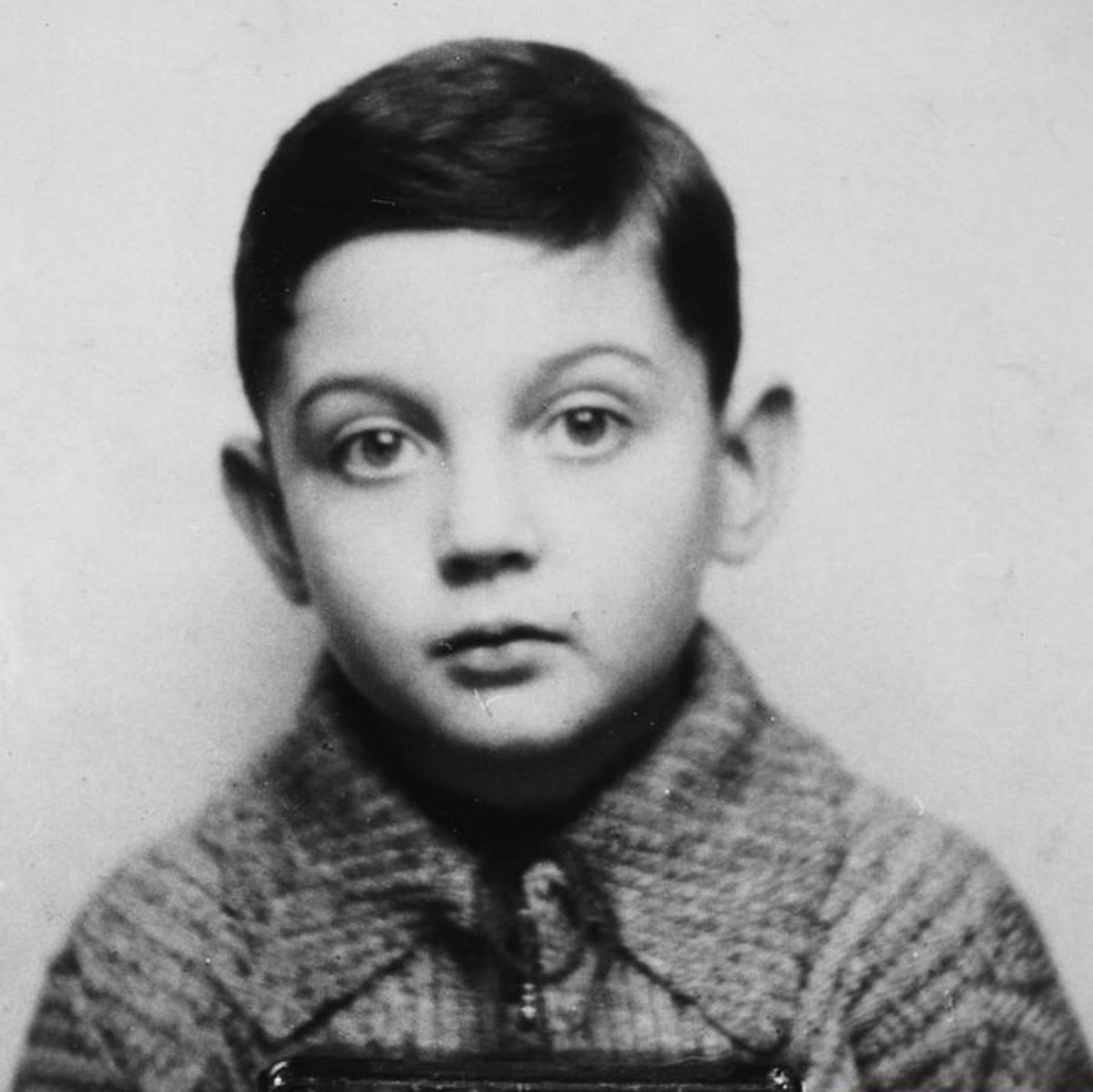 Auschwitz Memorial tweet media