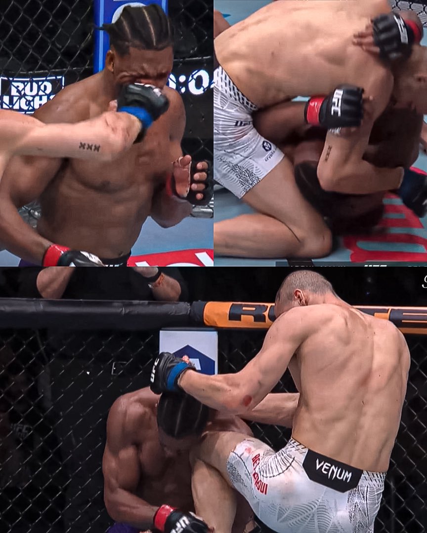 Home of Fight tweet media