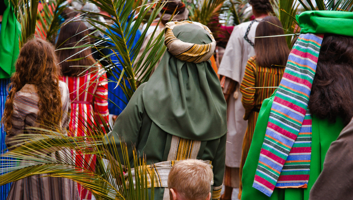 Anglican Compass tweet media