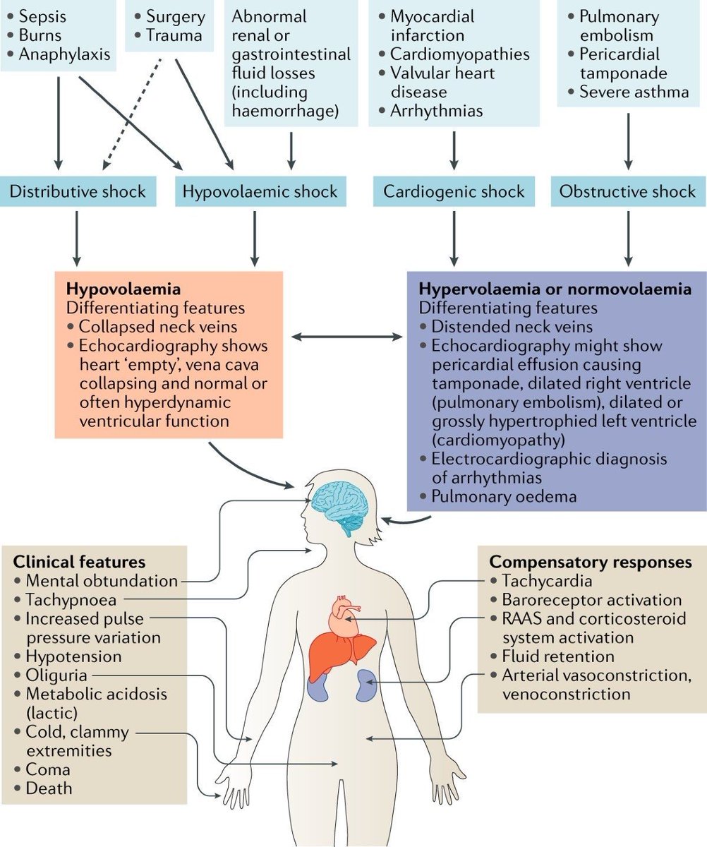 Dr.Marlon Villanueva™ 🩺 𝕏 tweet media