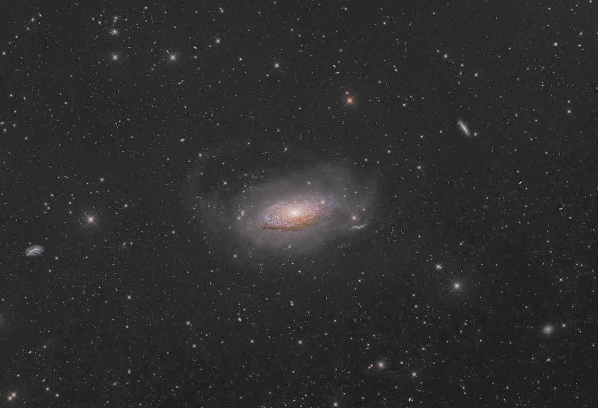 まーちゃる tweet media